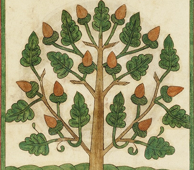 weird tree illustration