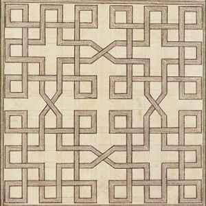 lattice-like illustration